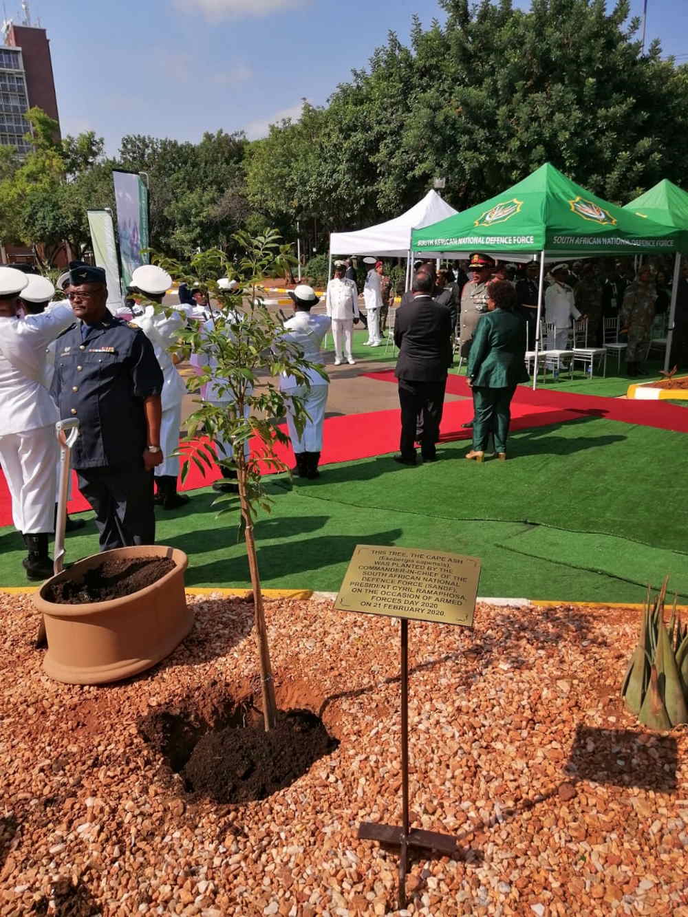 Cyril Ramaphosa Plant Trees Not Bombs Campaign